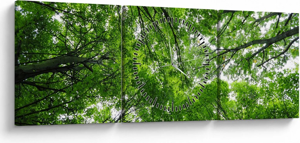 Kép - Kilátás a fák tetejére (órával) (90x30 cm)