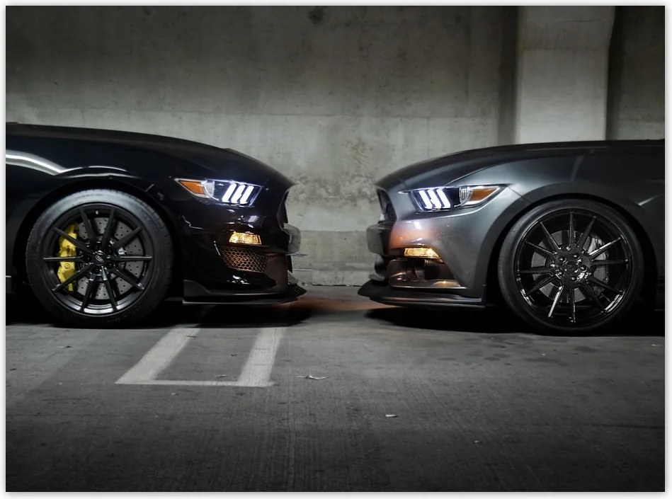 Poszterek 135x100 Face to face Mustang