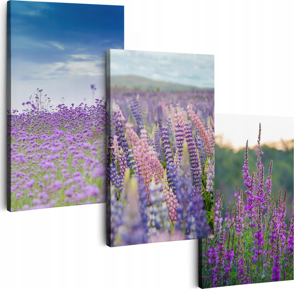 Vászonkép 180 cm **többféle minta** Képek A Nappaliba Triptichon Virágok