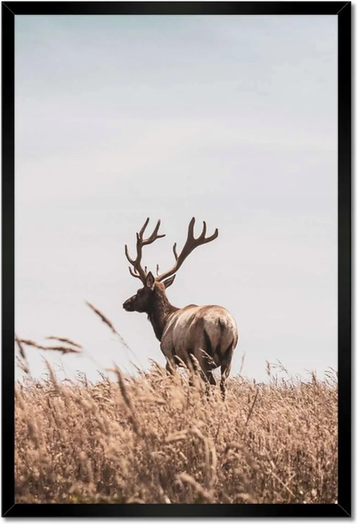 Poszter keretben 40x60 Szarvascsorda Szarvak