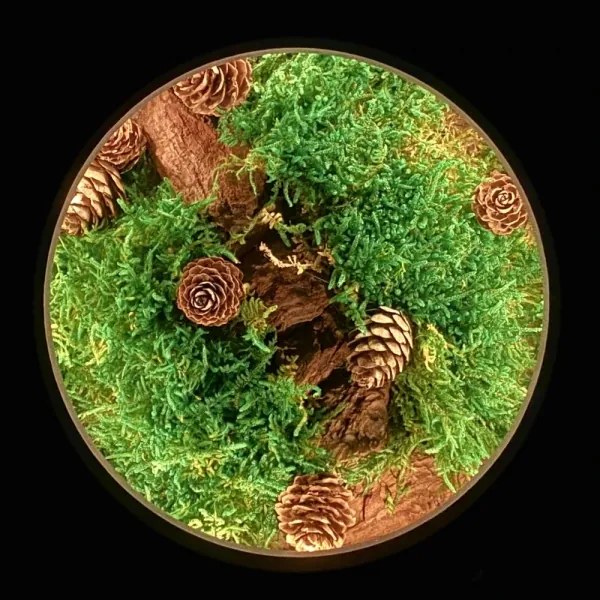 Li-Go 23654 - Fényerőszabályozható asztali dekoráció LED/12W/230V 20x22 cm moha