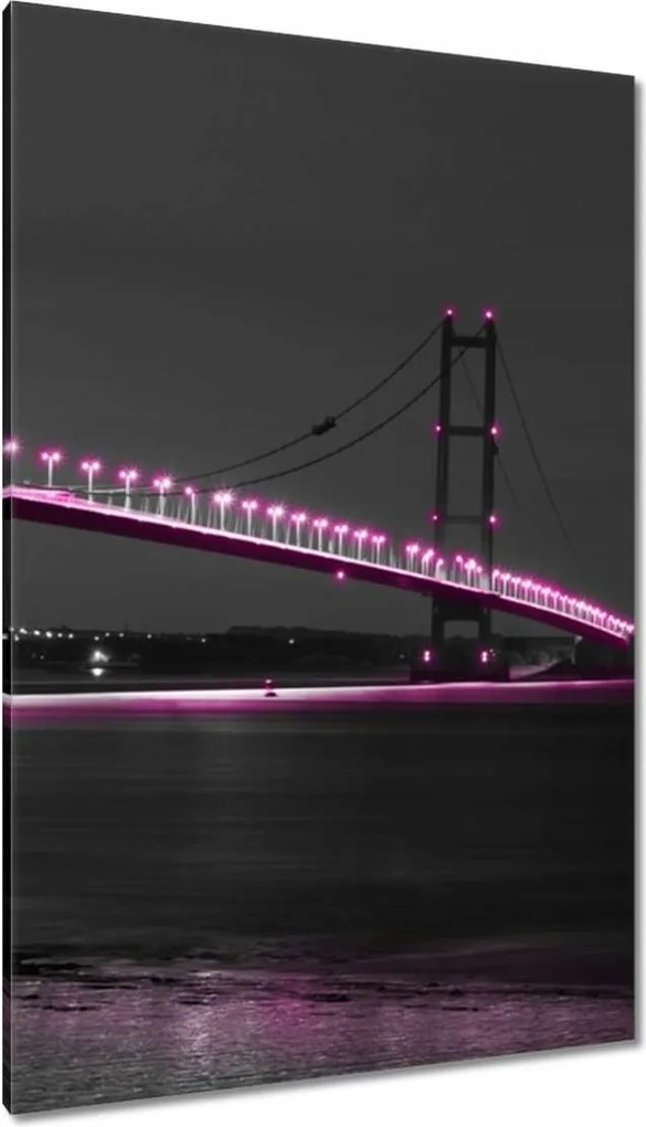 Vászonkép 80x120 Lila világítás