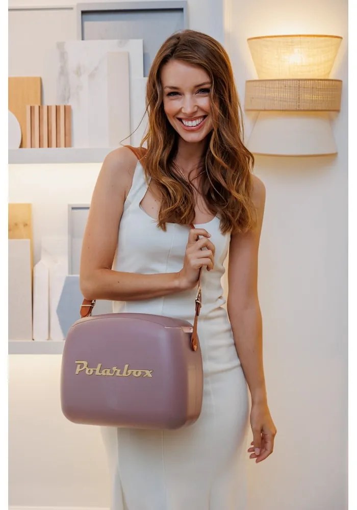 Barna hűtődoboz 6 l Classic Gold – Polarbox