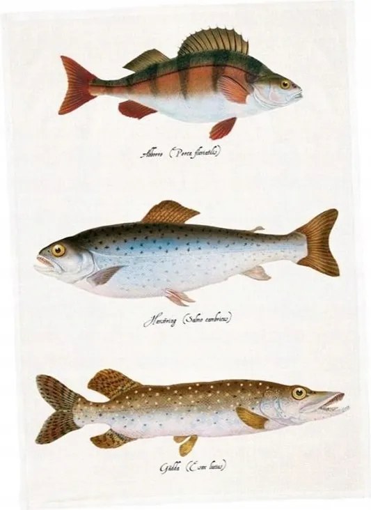 Konyhai Törülköző Halak