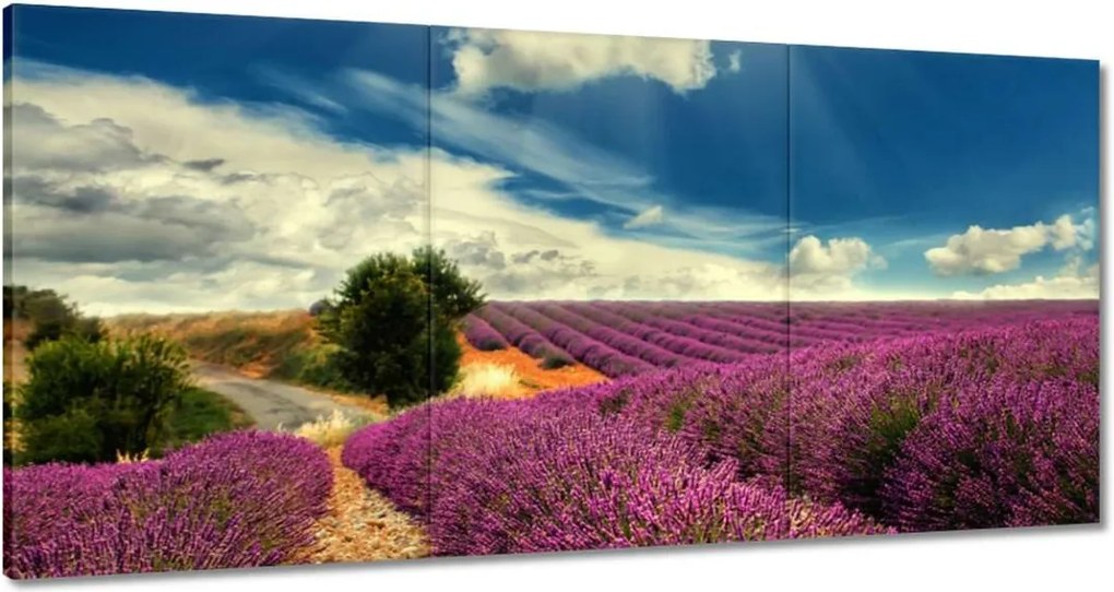 Festmények 120x60 Levendula tájkép