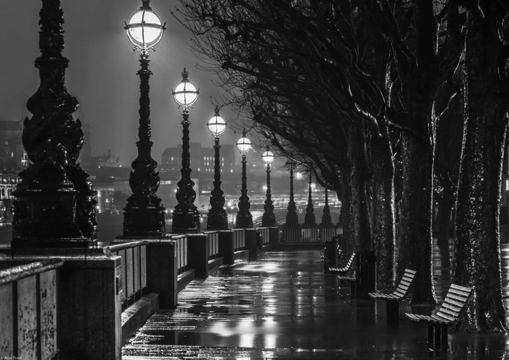 Poszter 42x29,7cm Esti sétány 2, Assaf Frank