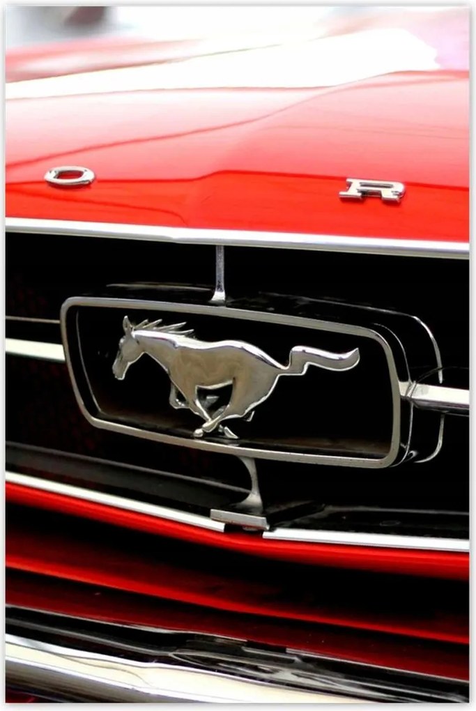 Poszterek 80x120 Grill Ford Mustang