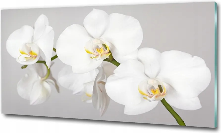 Fotó kép edzett üveg Fa rönkök 100x70