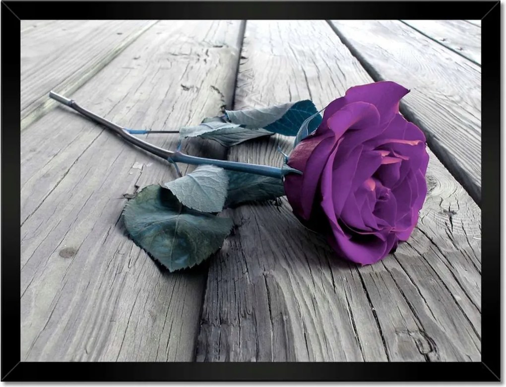 Poszterek keretben 40x30 Lila rózsa Padló