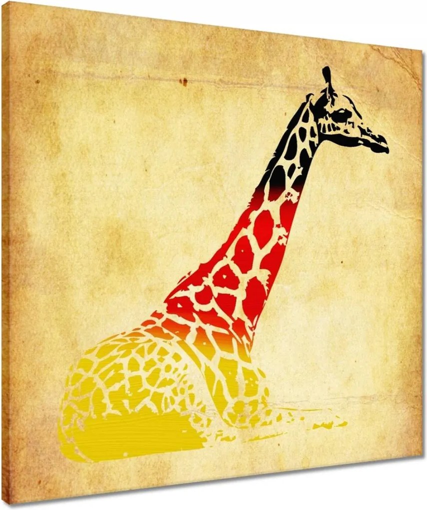 Vászonkép 50x50 Zsiráf