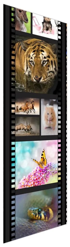Fotó redőnyök R014981R57150 (57x150 cm)