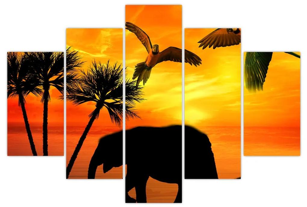 Kép - papagájok és elefántok (150x105 cm)