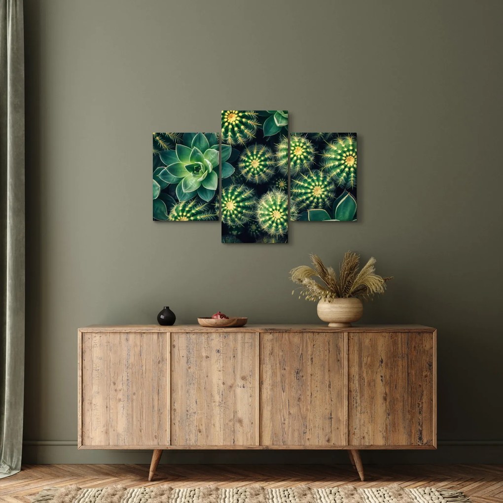 Kép - Kaktuszok (90x60 cm)