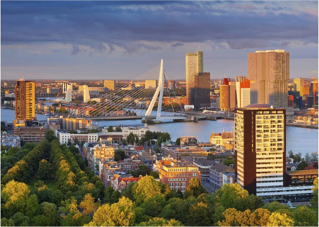 Kép - panoráma Rotterdam, Hollandia (70x50 cm)