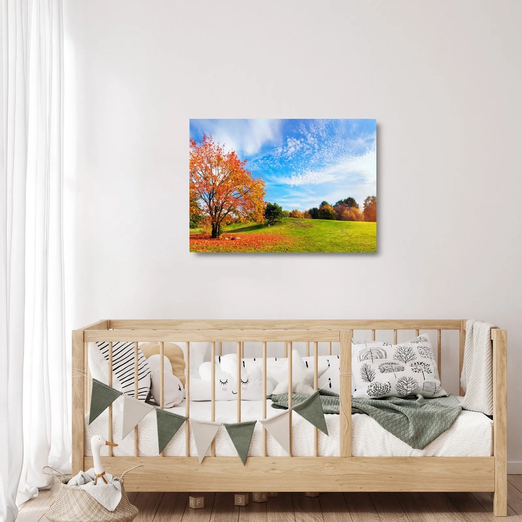 Kép - Őszi táj (üvegen) (70x50 cm)