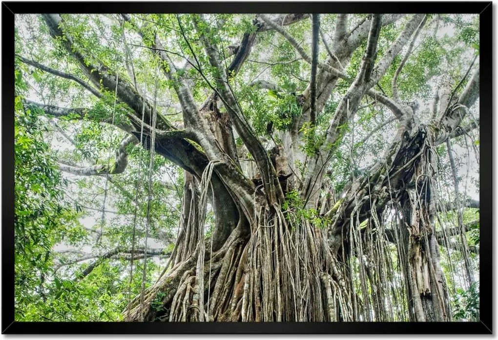 Poszterek keretben 60x40 Tájkép Látvány