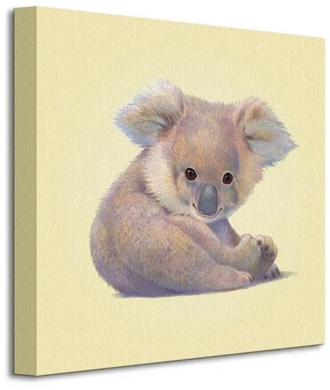 Art Group Vászonkép Koala Butler John Méret: 40 x 40 cm