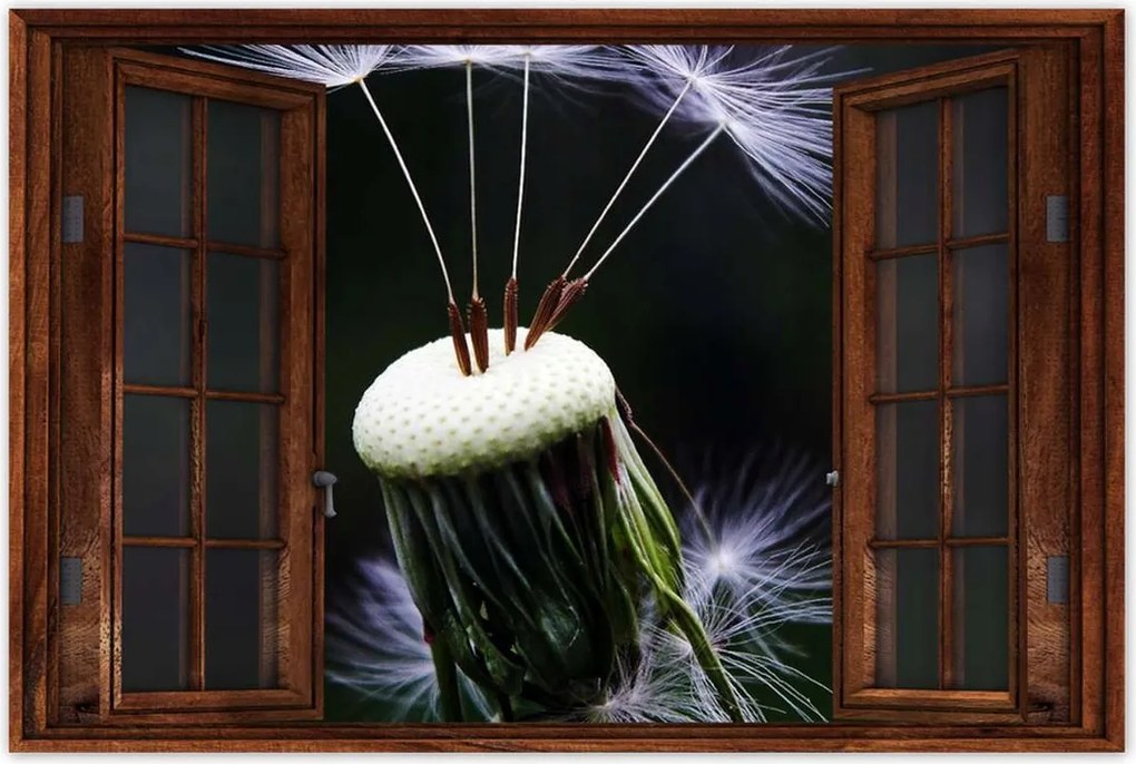 Poszterek 60x40 Pitypang Virág Virágok