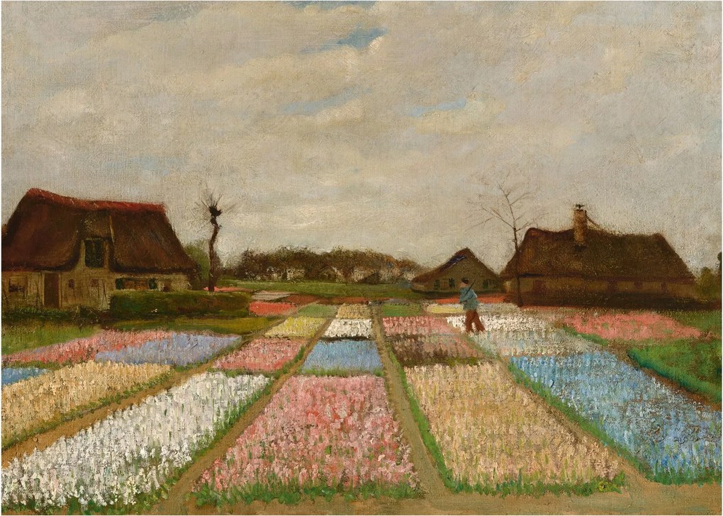 Kép - Vincent van Gogh, Flower Beds in Holland, reprodukciók (70x50 cm)