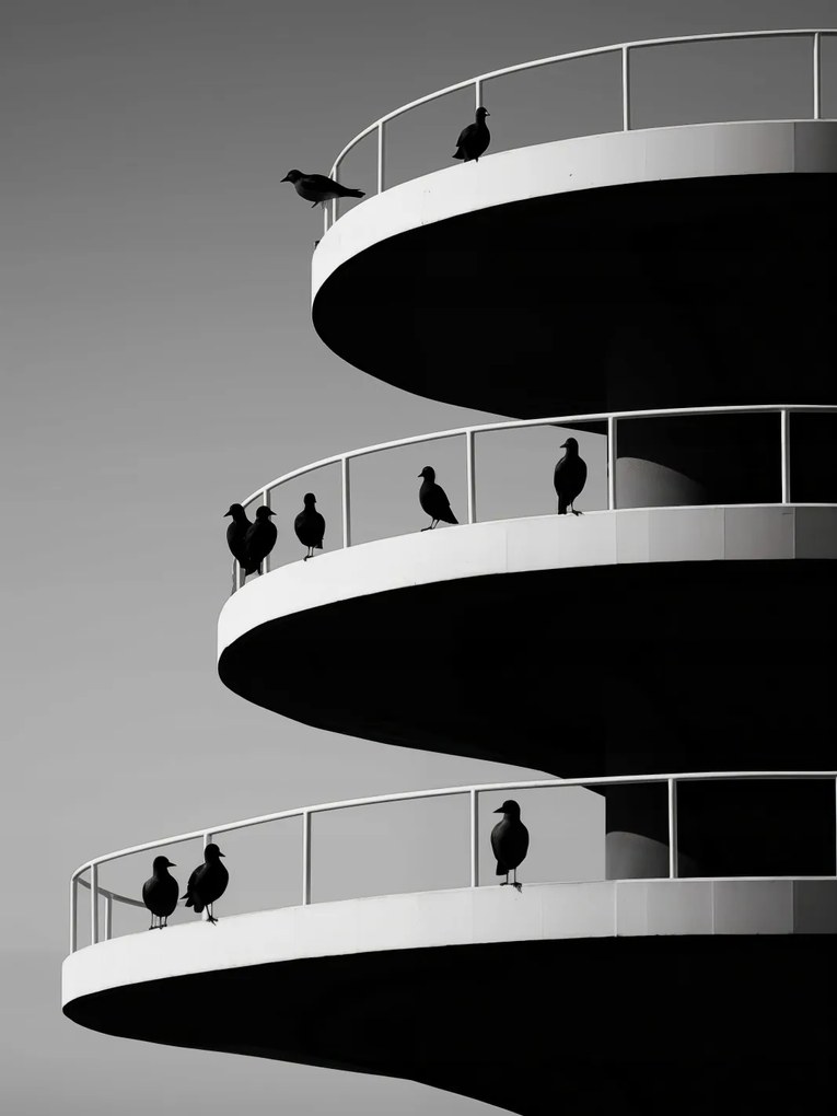 Poszter 15x20cm Holló árnyalatok