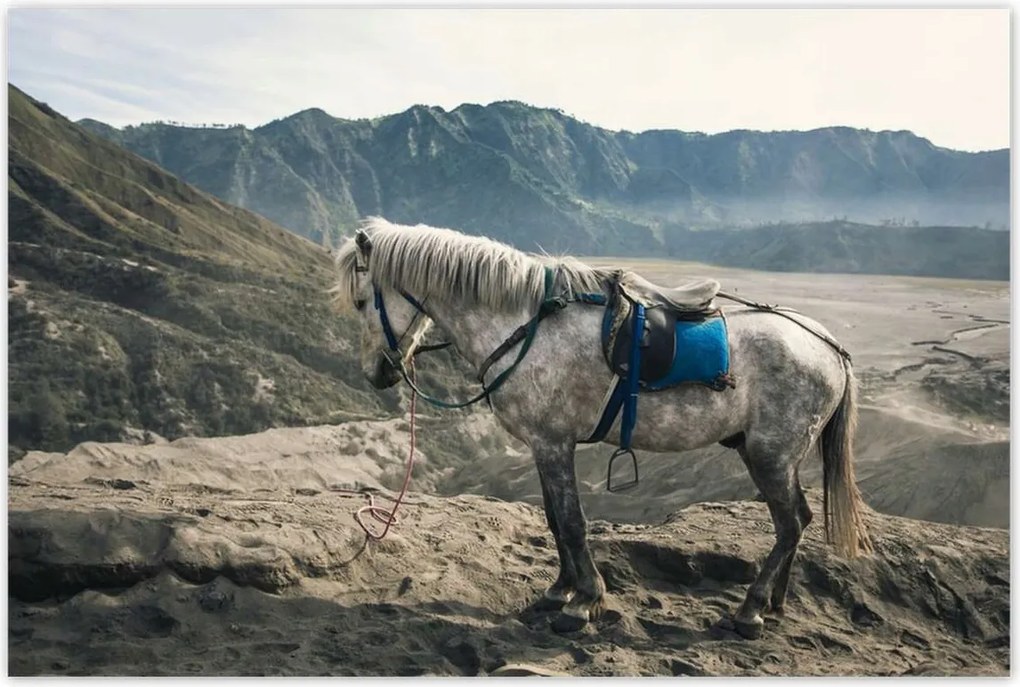 Poszterek 120x80 Ló expedíció a hegyekbe