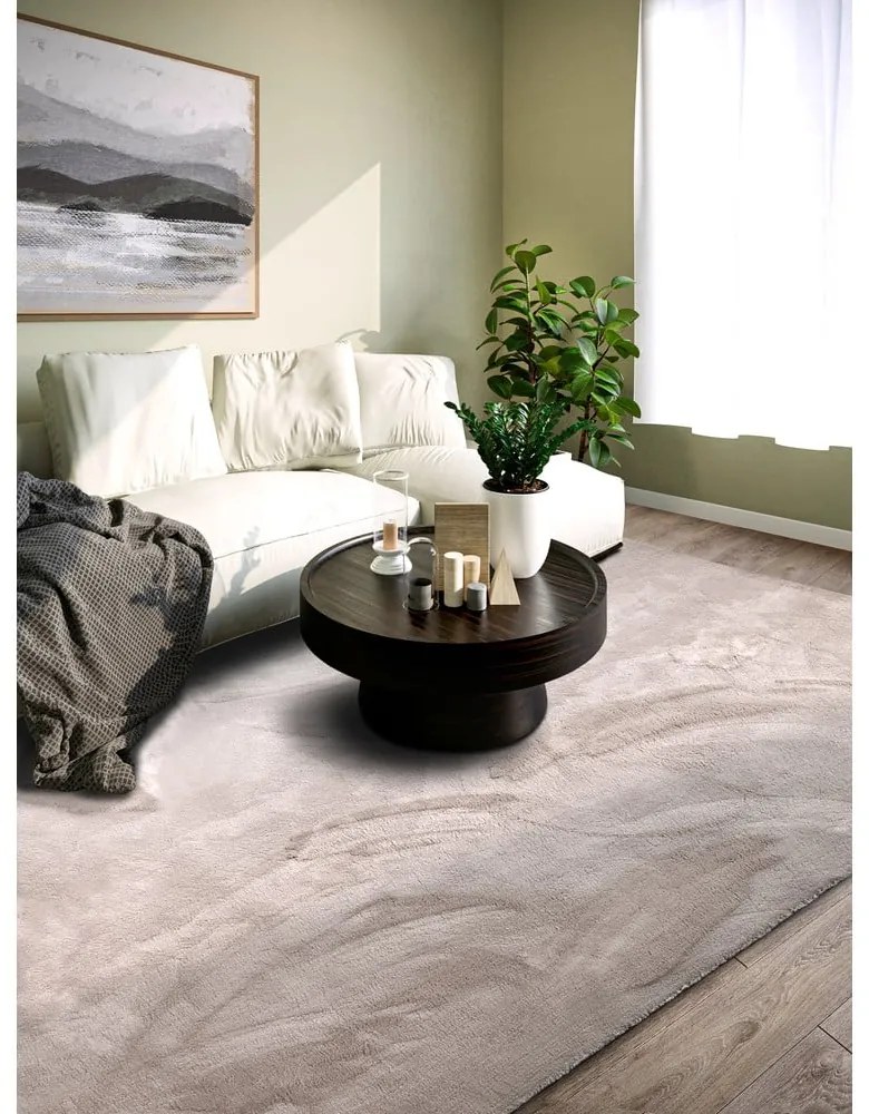 Világosszürke szőnyeg 200x290 cm Leon – Villeroy&Boch