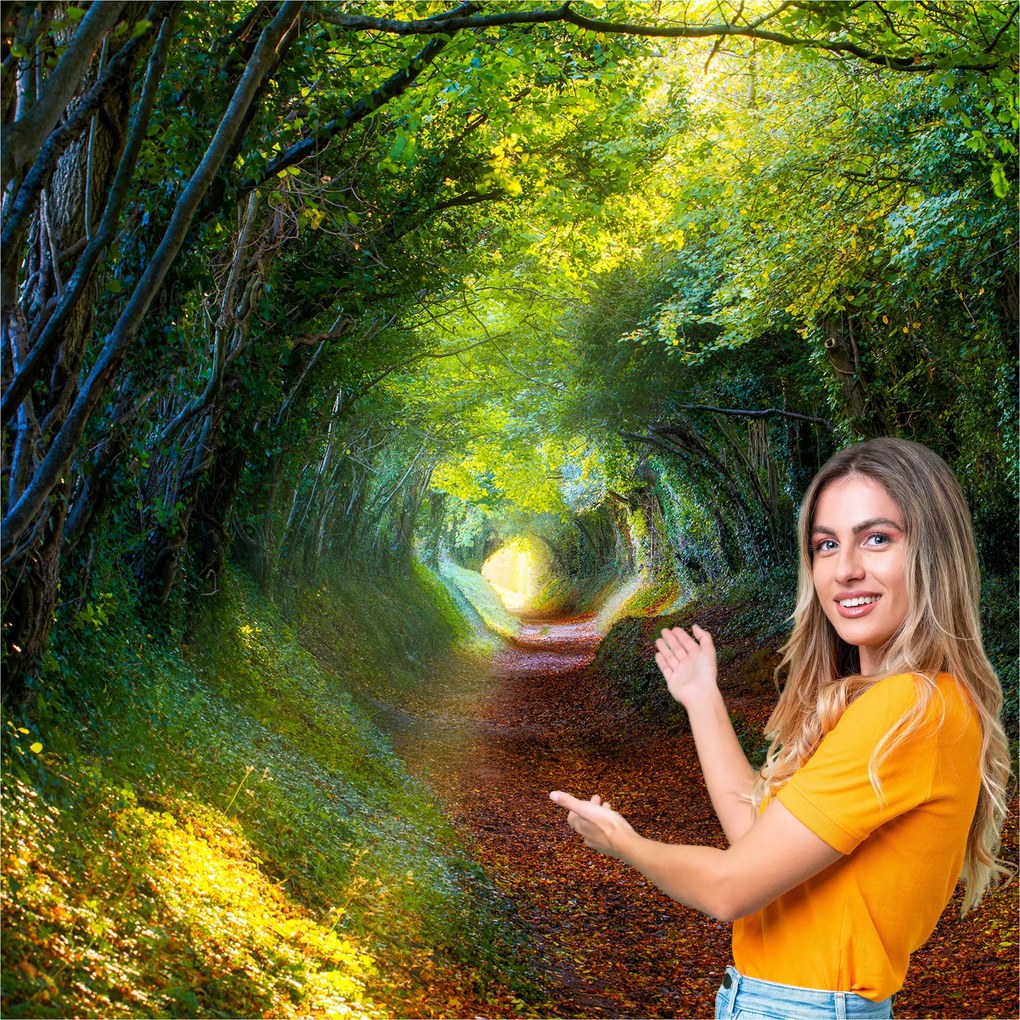 3D fotótapéta Nappali Hálószoba Erdő Fák Nap 392x280 P08F