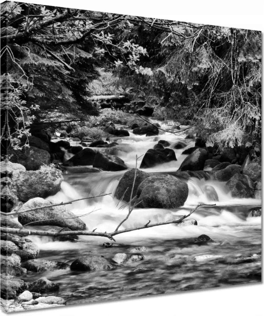 Vászonkép 40x40 Tátra Lengyel hegyek Kilátás