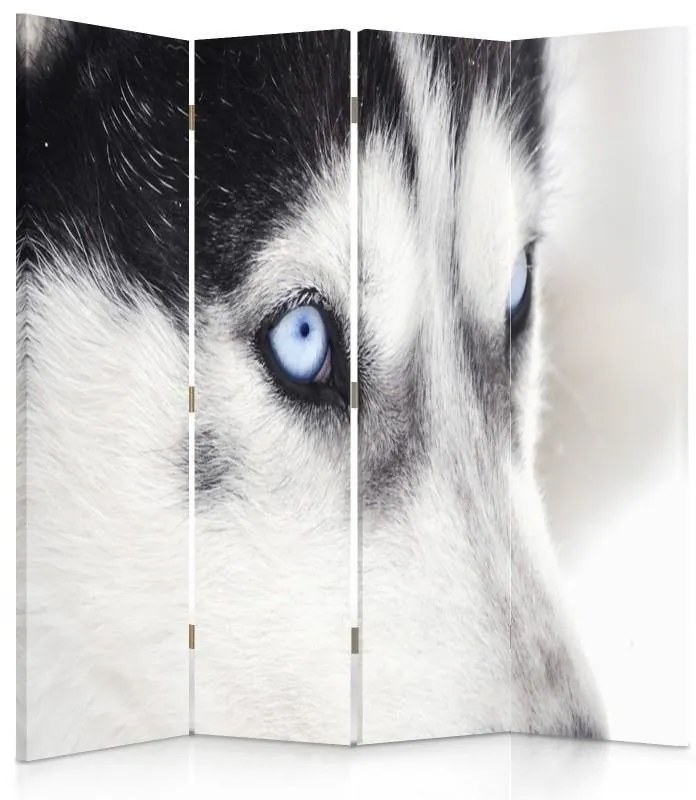 Gario Paraván Szibériai husky Méret: 145 x 170 cm, Kivitelezés: Forgó paraván 360°