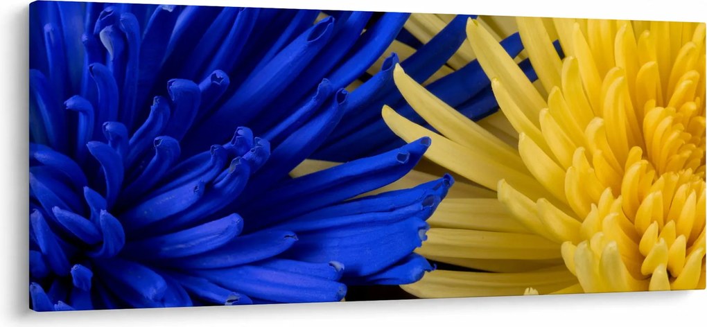 Kép - virág részlet (120x50 cm)