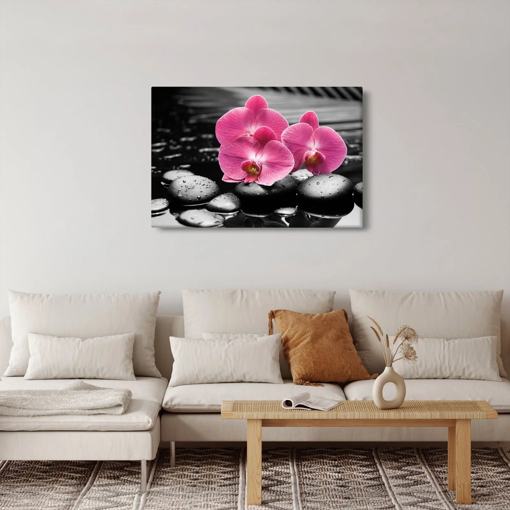 Kép - Rózsaszín orchideák (90x60 cm)