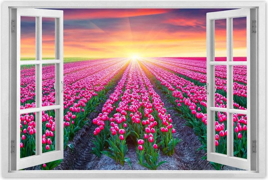 Poszterek 120x80 Tulipánok tengere Virágok