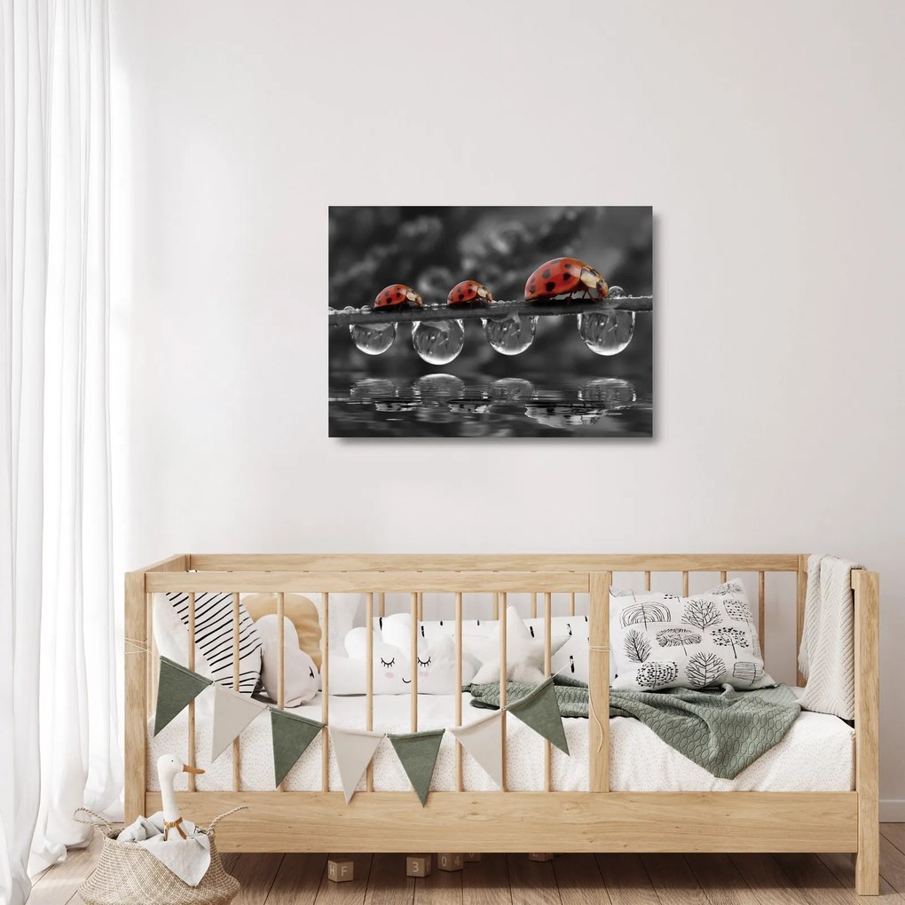 Üveg kép - Napraforgó, fekete-fehér (70x50 cm)