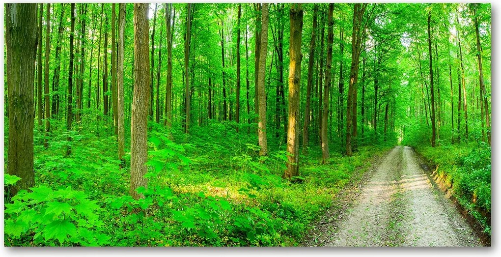 Fotó kép edzett üveg Fák az erdőben 140x70