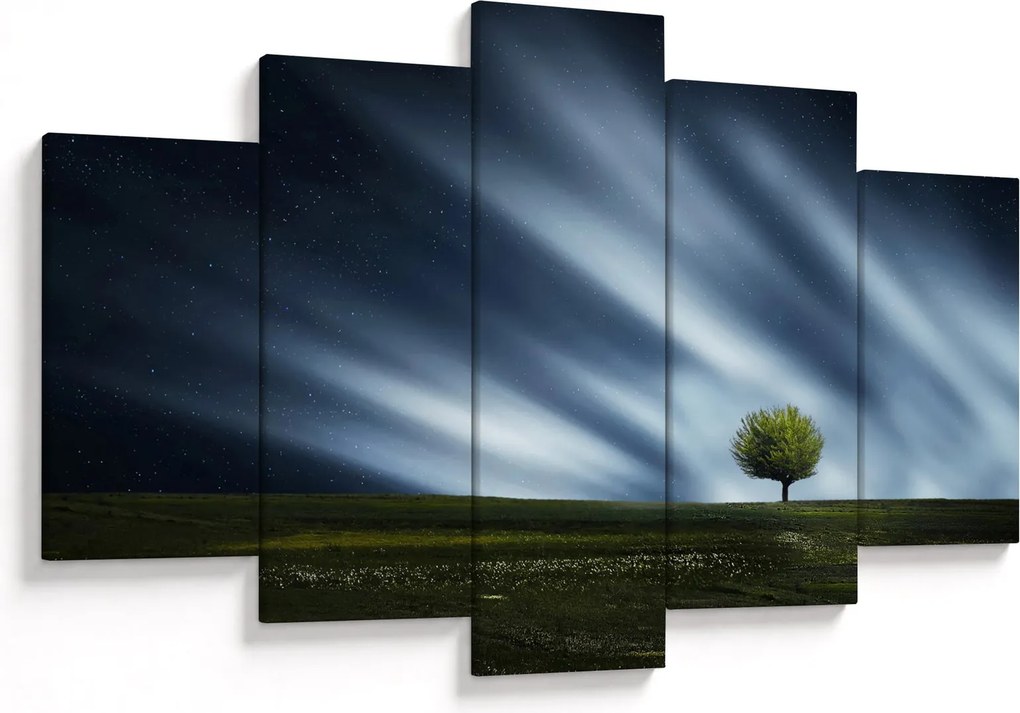 Az aurora borealis képe egy lápvidéken (150x105 cm)