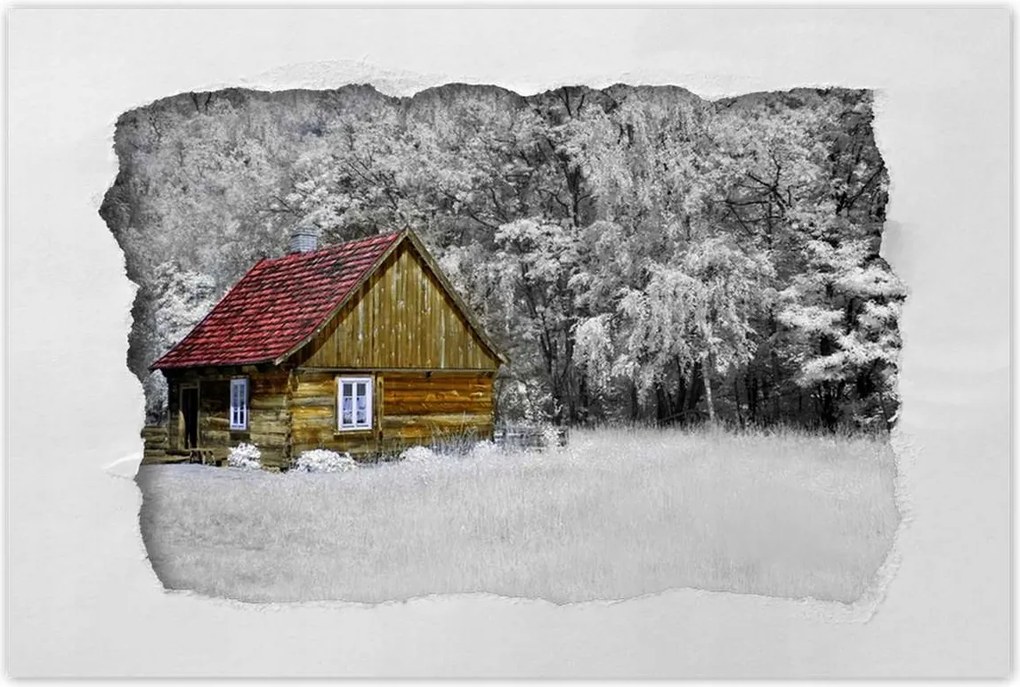 Poszterek 60x40 Fa ház Bale