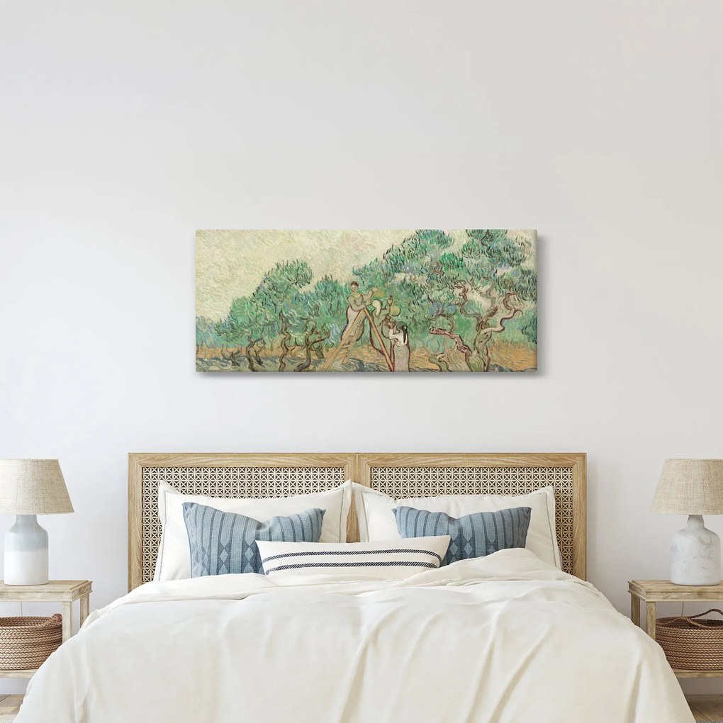 Kép - Vincent van Gogh, The Olive Orchard, reprodukciók (120x50 cm)