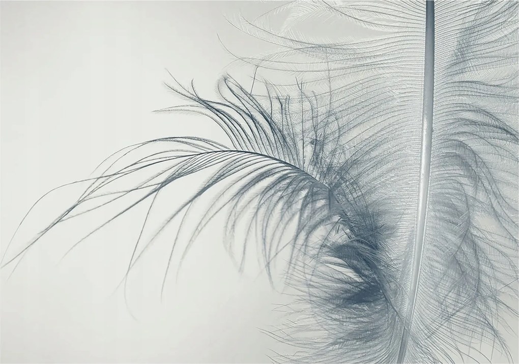 Divatos Flizelin tapéta 3D ragasztóval Fali finom toll 312x219 Ragasztó