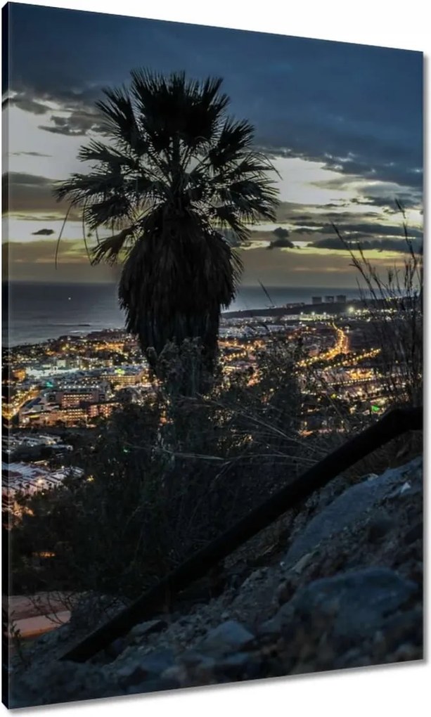 Vászonkép 70x100 Tájkép pálmafákkal