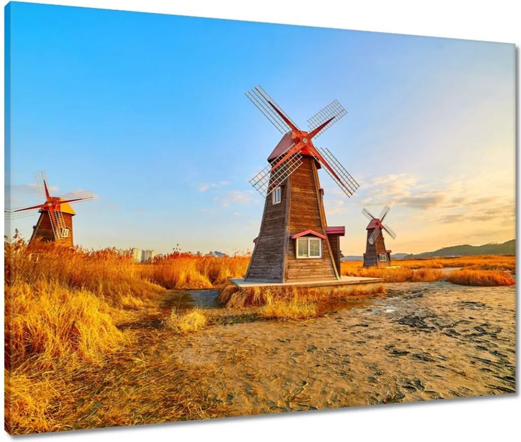 Vászonkép 80x60 Fa szélmalom