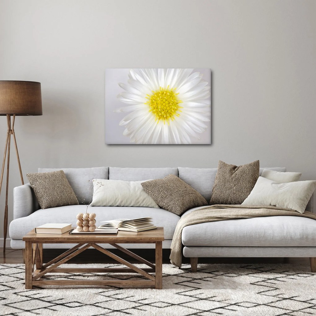 Kép - Margarita (70x50 cm)