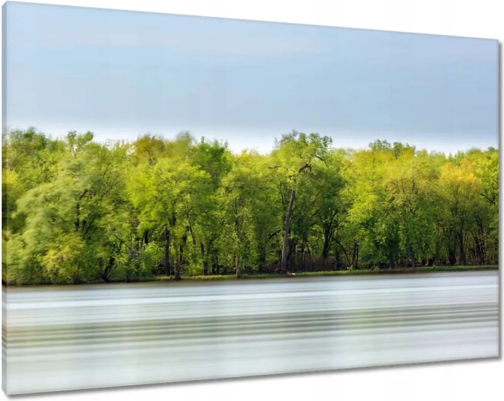 Vászonkép 100x70 Erdő Tó Ég