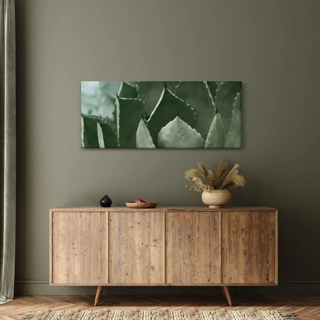 Kép - Zöld agávé (120x50 cm)