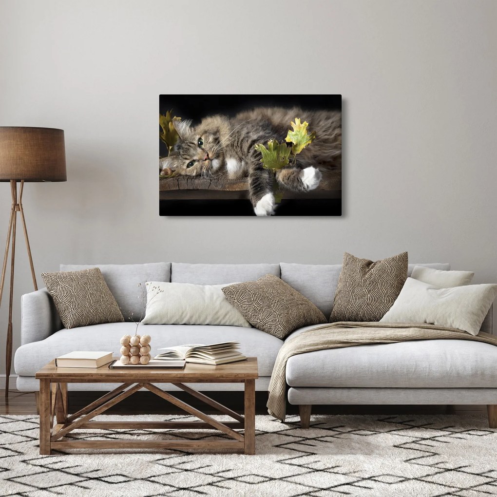 Kép - Hazudós macska (90x60 cm)
