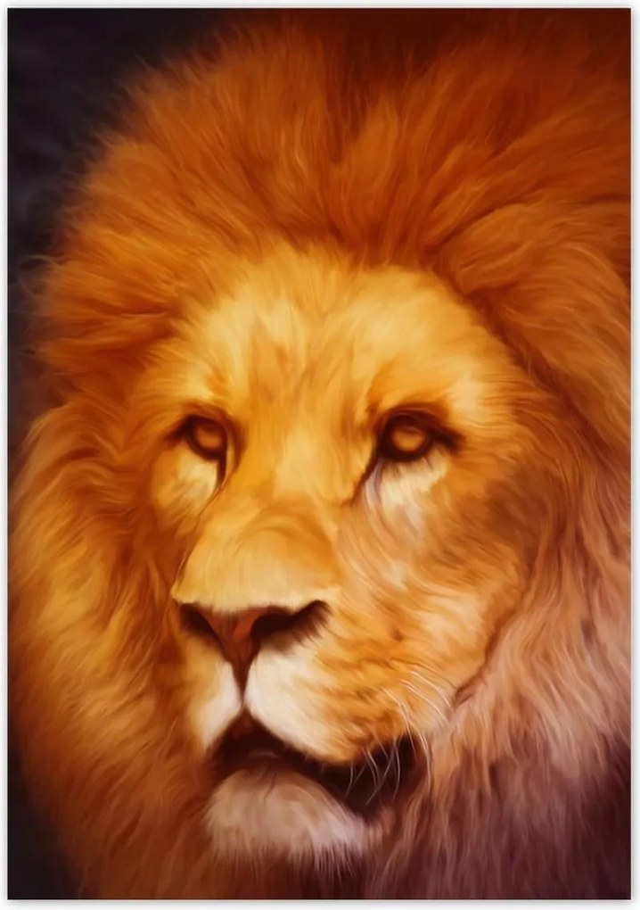 Poszterek 70x100 Oroszlánkirály