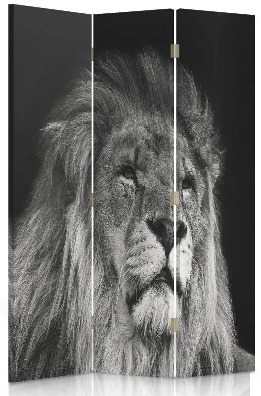 Gario Paraván Lion fekete-fehérben Méret: 145 x 170 cm, Kivitelezés: Forgó paraván 360°