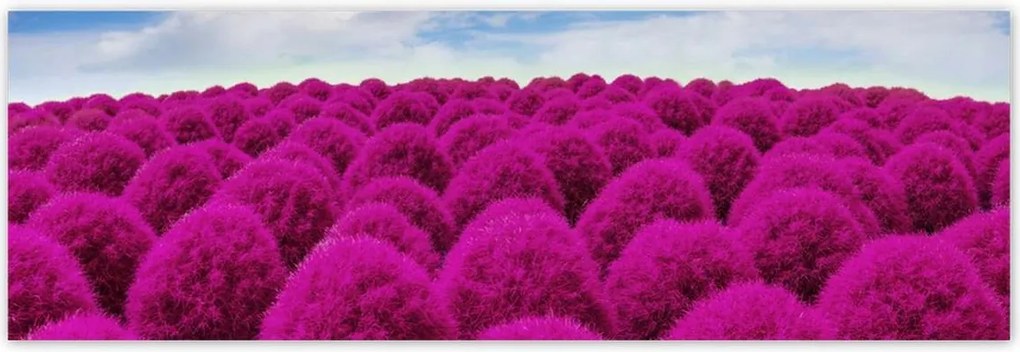 Poszterek 200x66 Kifejező rét Tájkép