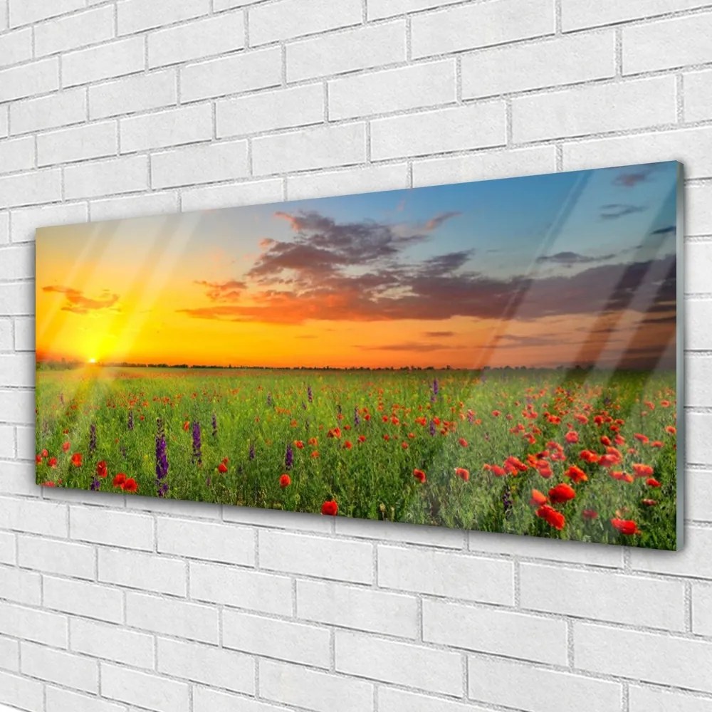 Akril üveg kép Sun mezei virágok Természet 100x50 cm