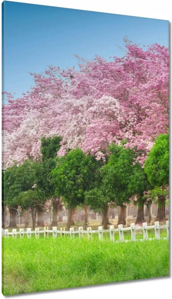 Vászonkép 80x120 Cseresznyés tájkép