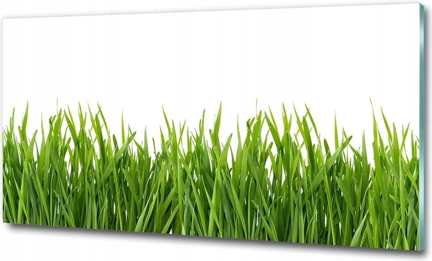 Fotótapéta falra edzett üveg Levendula 125x50